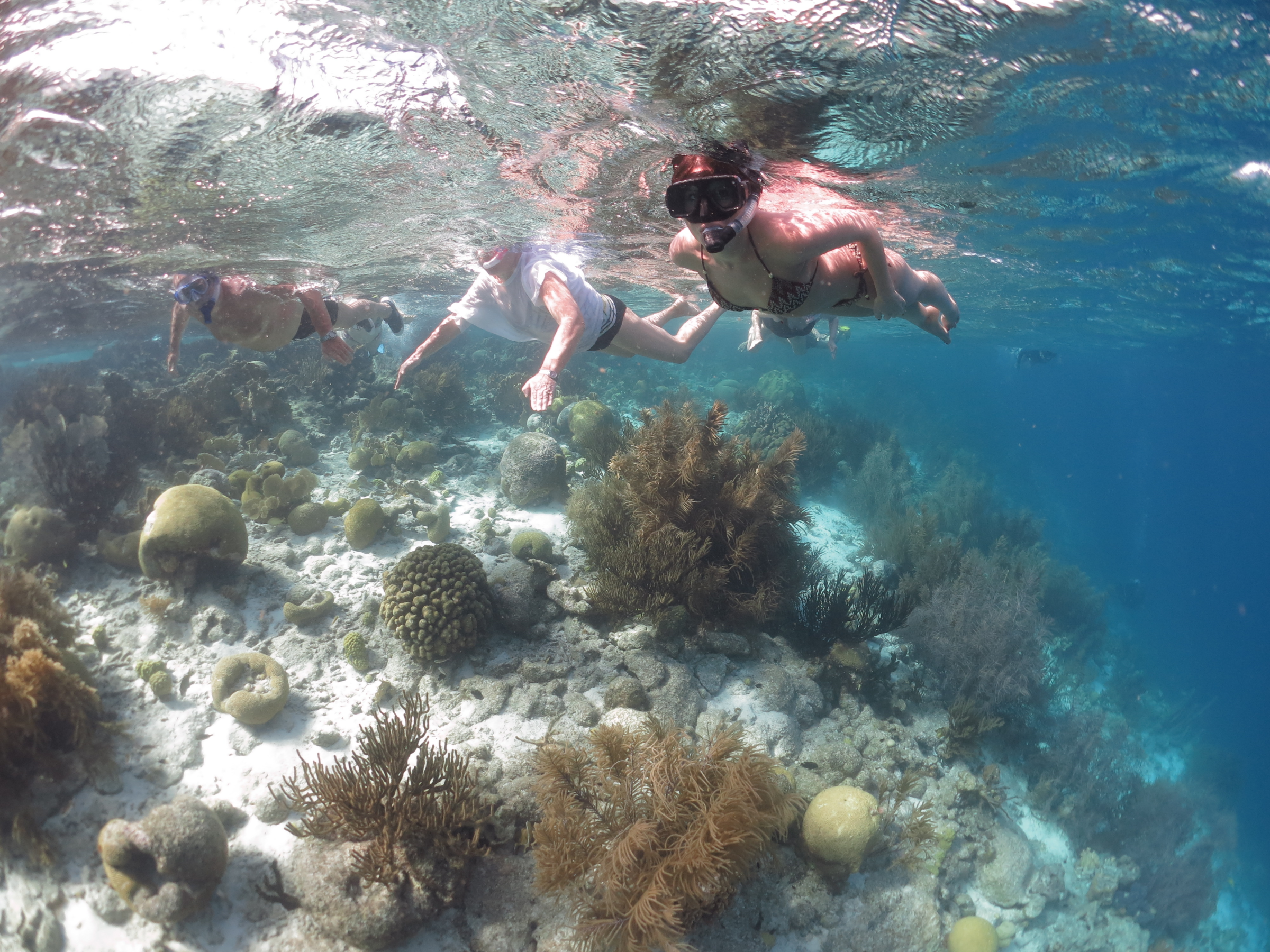 Snorkelling in Bonaire